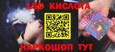 гидропоника Сланцы