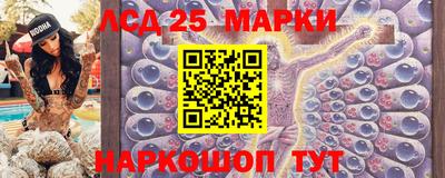гидропоника Сланцы