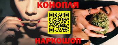 гидропоника Сланцы