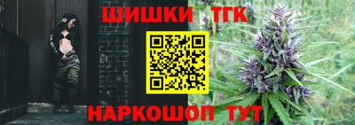 гидропоника Сланцы