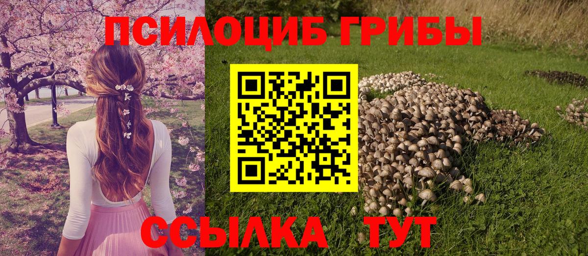 Оренбург  Псилоцибиновые грибы Psilocybine cubensis  Галлюциногенные грибы GOLDEN TEACHER  Вход с VPN 